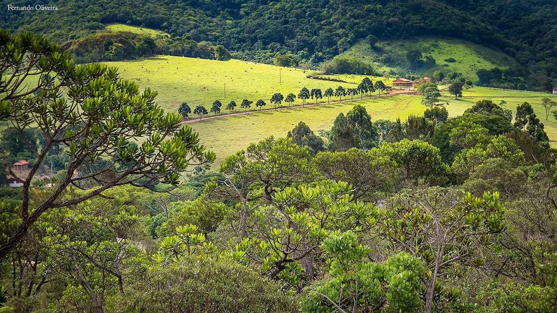 Pousada Chale Da Montanha Sao Thome Das Letras Сан-Томе-дас-Летрас Екстер'єр фото